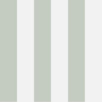 Флизелиновые обои Cole & Son 96/4020 коллекции Marquee Stripes